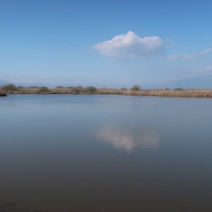 Hula Valley