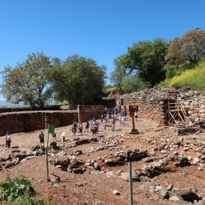 Tel Dan