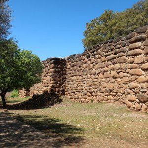 Tel Dan