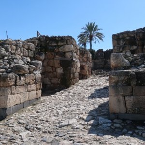 Megiddo National Park