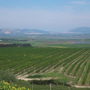 Megiddo National Park
