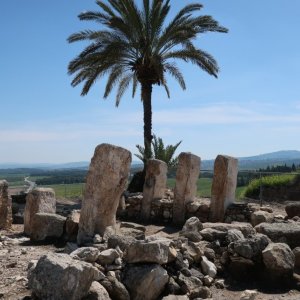 Megiddo National Park