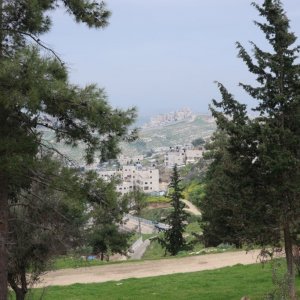 Goldberg Promenade