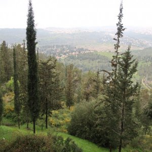 Yad Vashem, Holocaust History Museum