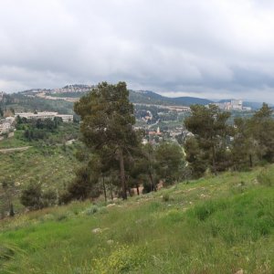 Yad Vashem