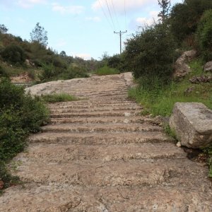 Roman Steps