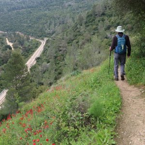 Wadi Ktalav
