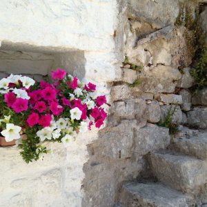IMG_3855.JPG