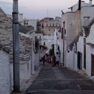 IMG_3884.JPG