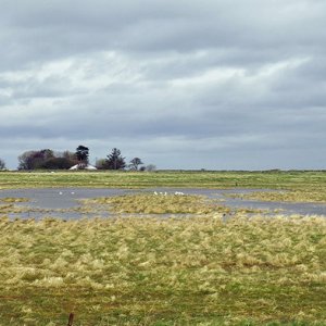 Holy Island of Lindisfarne