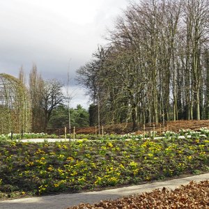 Alnwick Gardens