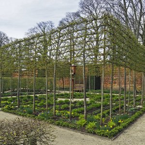 Alnwick Gardens