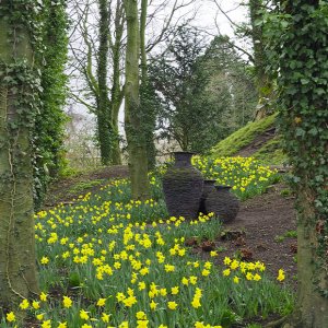 Alnwick Gardens