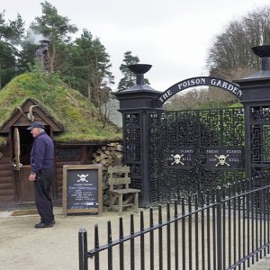 Alnwick Gardens