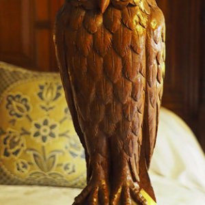 Owl, Cragside