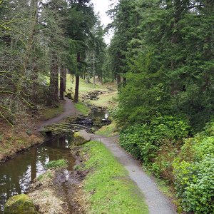 Pinetum, Cragside