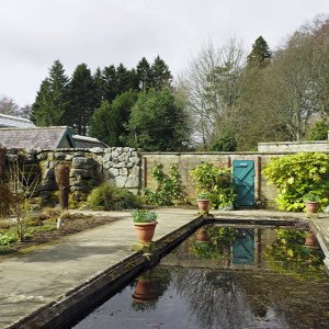 Fernery, Cragside