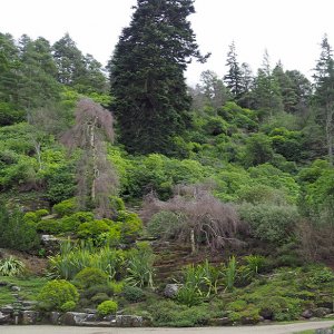 Cragside rock garden