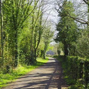 Tarka Trail near Bideford