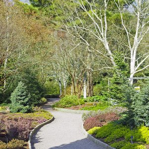 NHS Gardens Rosemoor - Winter Garden