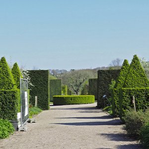 NHS Gardens Rosemoor - Formal Gardens