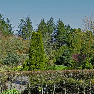 NHS Gardens Rosemoor - Foliage Garden