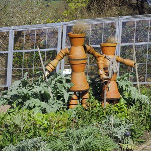 NHS Gardens Rosemoor - Fruit and Vegetable Garden