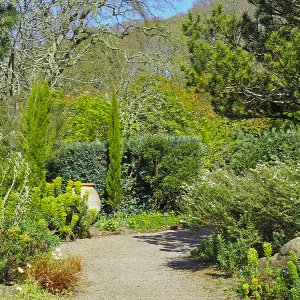 NHS Gardens Rosemoor - Mediterranean Garden