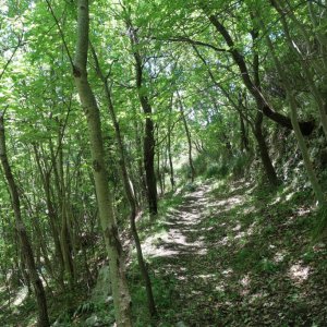 Hike, Praiano to Grotto Di Santa Barbara