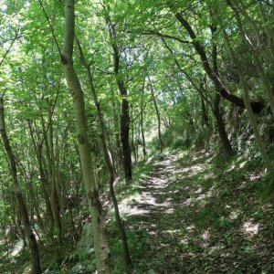 Hike, Praiano to Grotto Di Santa Barbara