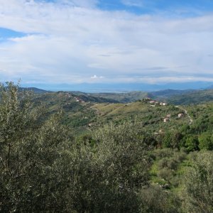 Villa Trotta
