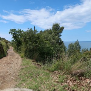 Hike, San Marco to Punta Licosa