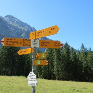 Rezliberg above Lenk