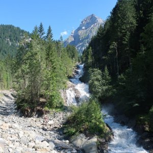 Simmenfalle