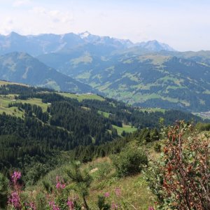 Laubbargli to Buhlberg trail
