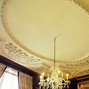 Brown Drawing Room - plaster ceiling