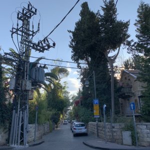 Neighbourhood Electrics