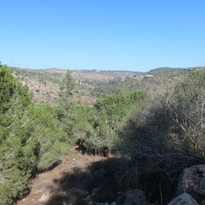 View of Judean Hills