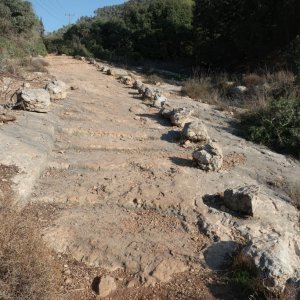 Roman Steps