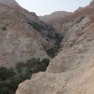 Ein Gedi