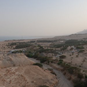 Ein Gedi