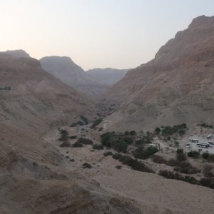 Ein Gedi