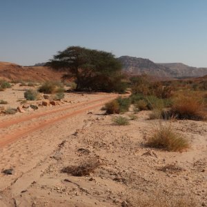 Hiking in the Ramon Crater