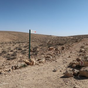 Loz Cisterns