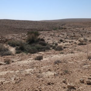 Loz Cisterns