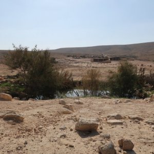 Loz Cisterns