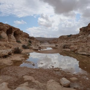 En Avdat National Park
