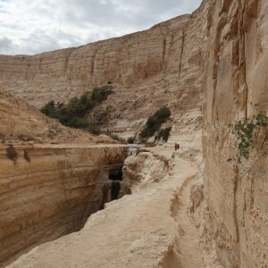 En Avdat National Park