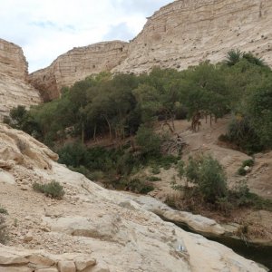 En Avdat National Park