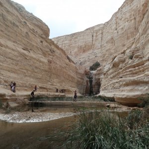 En Avdat National Park